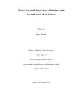 CO2-level Dependent Effects of Ocean Acidification on Squid