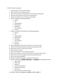 Fall 2012 midterm study guide