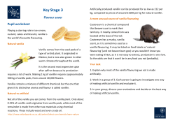 KS3_flavour saver_Student_Sheets