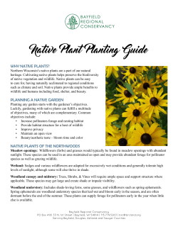 why native plants? planning a native garden native plants of the