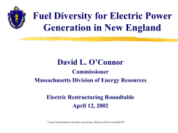 How Important Is Fuel Diversity for Electric Power