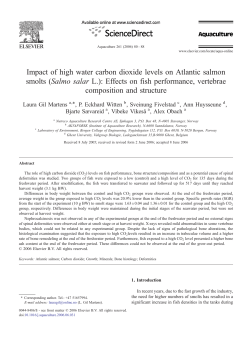Impact of high water carbon dioxide levels on Atlantic salmon smolts