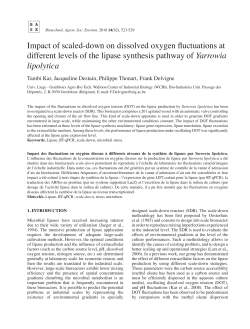Impact of scaled-down on dissolved oxygen fluctuations at different