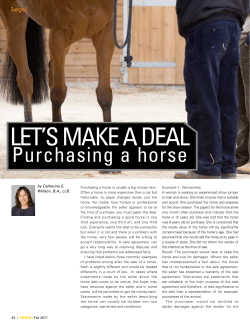 Let`s Make a Deal: Purchasing a Horse