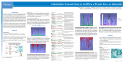 A Quantitative Proteomic Study on the Effects of Osmotic Stress on