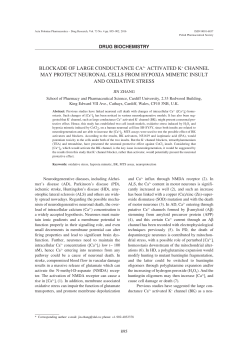 blockade of large conductance ca2+ activated k+ channel may