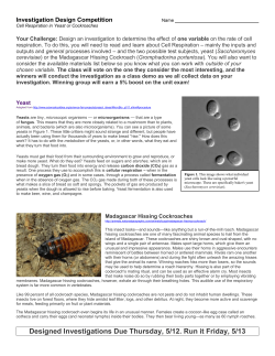 Investigation Design Competition Name Cell Respiration in Yeast or