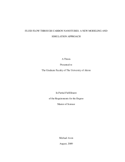 FLUID FLOW THROUGH CARBON NANOTUBES