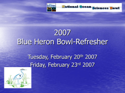 Blue Heron Bowl