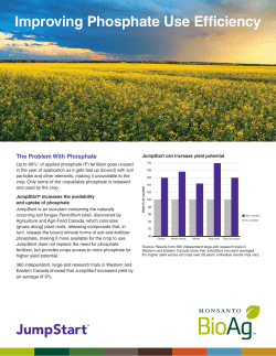 Improving Phosphate Use Efficiency