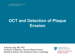 Title 44 pt Arial, centered top to bottom within this