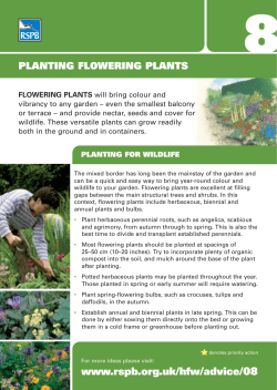 flowering plants for wildlife