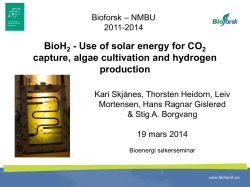 BioH - Use of solar energy for CO capture, algae cultivation and