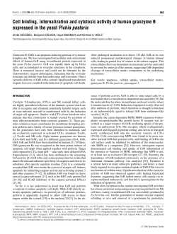 Cell binding, internalization and cytotoxic activity of human