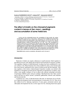 The effect of kinetin on the chlorophyll pigments content in leaves of