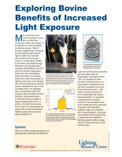 Exploring Bovine Benefits of Increased Light Exposure
