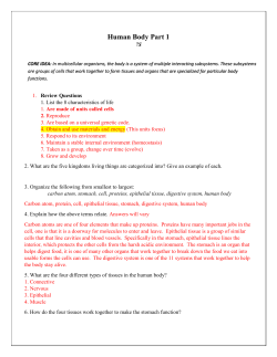 Human Body Part 1 - American Academy