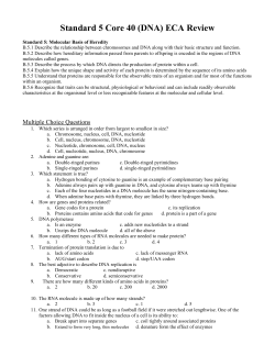 Standard 5 Core 40 (DNA) ECA Review