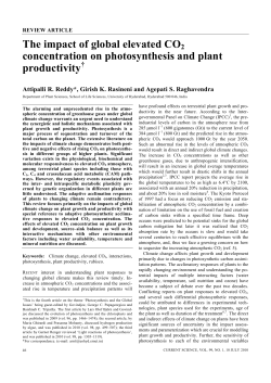 The impact of global elevated CO2 concentration on photosynthesis