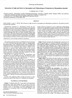 Interaction of Light and Sterol on Sporangium and Chlamydospore