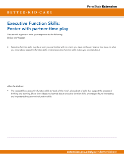 Executive Function Skills: Foster with partner time play