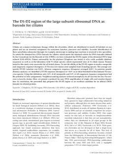 The D1D2 region of the large subunit ribosomal DNA as barcode for