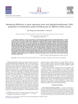 (PHA) production in Pseudomonas putida KT2440 - SUNY-ESF