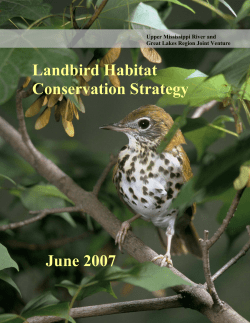 Joint venture Landbird Conservation Plan