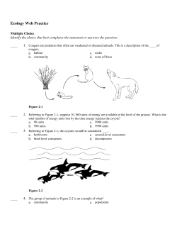 Ecology Web Practice Answer Section