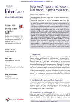 Proton transfer reactions and hydrogen