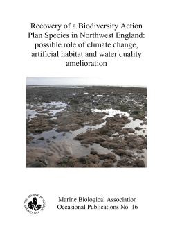Recovery of a Biodiversity Action Plan Species in Northwest