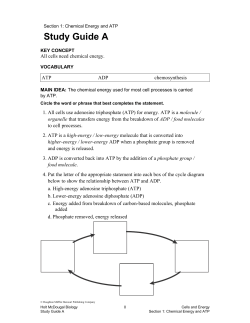 Study Guide A - cloudfront.net
