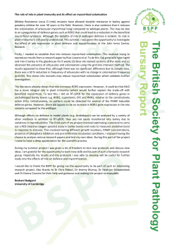 The role of mlo in plant immunity and its effect on mycorrhizal