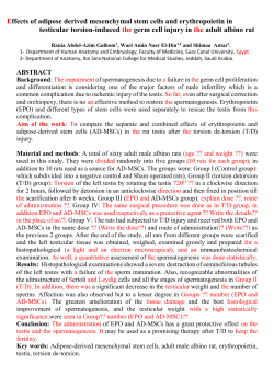 MSCs/erythropoietin