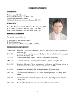 curriculum vitae - Michigan Technological University