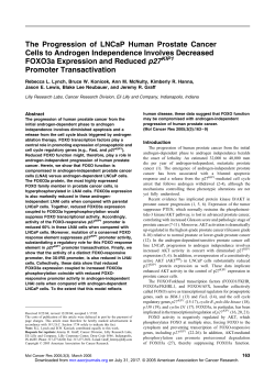 The Progression of LNCaP Human Prostate Cancer Cells to