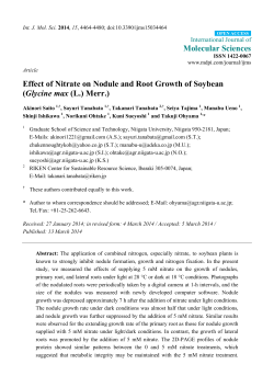 Effect of Nitrate on Nodule and Root Growth of Soybean