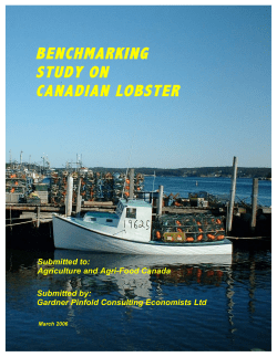 Benchmarking Study on Canadian Lobster, 2006