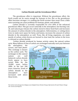 Carbon Dioxide and the Greenhouse Effect