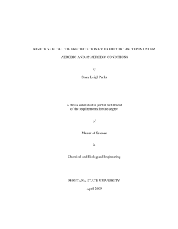 KINETICS OF CALCITE PRECIPITATION BY UREOLYTIC