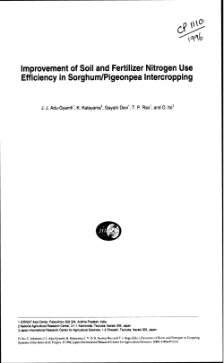 Improvement of Soil and Fertilizer Nitrogen Use