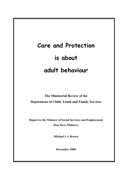 Care and protection is about adult behaviour: the ministerial review