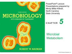The Roles of Enzymes in Metabolism