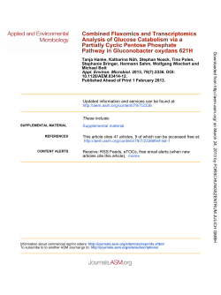 Pathway in Gluconobacter oxydans 621H Partially Cyclic Pentose