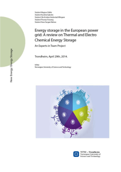 An Experts in Team Project < Energy Storage in the European