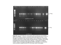 PTBprom ms Figure revisions - Springer Static Content Server