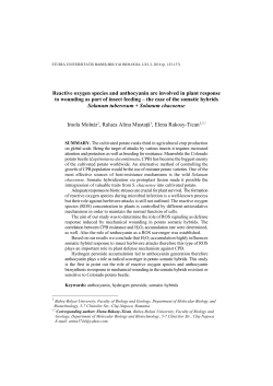 Reactive oxygen species and anthocyanin are involved in plant