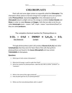 Chloroplast - Plain Local Schools