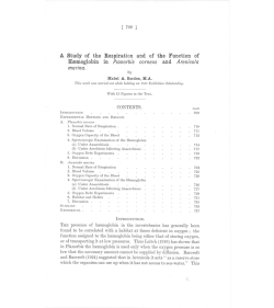 A Study of the Respiration and of the Function of