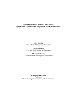 Opening the &ldquo;Black Box&rdquo; of Audit Teams